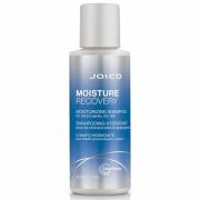 Joico Moisture Recovery Feuchtigkeitsspendendes Shampoo für Dickes, Gr...