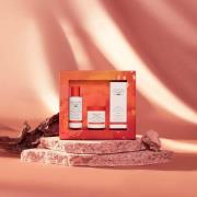 Christophe Robin Regenerating Haircare Gift Set