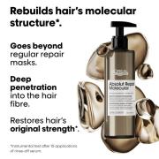 L'Oréal Professionnel Serié Expert Absolut Repair Molekulare Flüssige ...