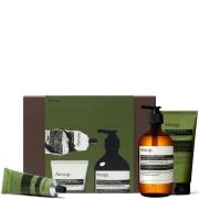 Aesop Party in the Greenhouse