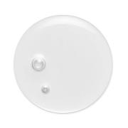 VIRTUE CORRECT Heilöl 20 ml