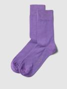 Christian Berg Men Socken im unifarbenen Design in Lila, Größe 39/42
