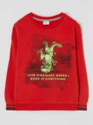 s.Oliver RED LABEL Sweatshirt aus Baumwollmischung in Hellrot, Größe 9...