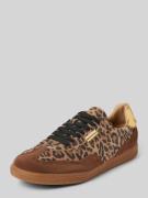 Steve Madden Ledersneaker mit Schnürverschluss Modell 'EMPORIA' in Cog...