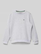 Lacoste Sweatshirt mit Label-Stitching in Mittelgrau Melange, Größe 14...