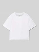 s.Oliver RED LABEL Regular Fit T-Shirt aus reiner Baumwolle in Weiss, ...