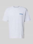 Dickies Regular Fit T-Shirt mit Motiv-Print Modell 'DRY RIDGE' in Hell...