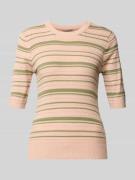 Scotch & Soda Strickpullover aus Baumwoll-Mix in Rosa, Größe L