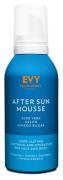 Evy Technology After Sun