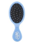 Wet Brush Mini Detangler Sky