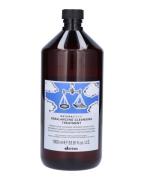 DAVINES Natural Tech Renewing Pro Boost Superactive Treatment 1000 ml