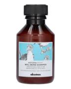 DAVINES Natural Tech Well-Being Shampoo 100 ml