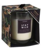 Excellent Houseware Stay Wild Duftkerzen Sweet Grass & Dandelion 200 g