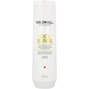 Goldwell Dualsenses Rich Repair Restoring Shampoo 250 ml