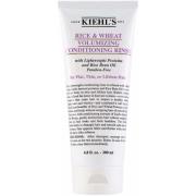 Kiehl's Rice & Wheat Rice & Wheat Volumizing Conditioning Rinse