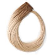 Rapunzel of Sweden Tape-on extensions Premium Tape Extensions Cla