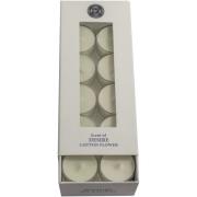 Washologi Desire Soy Wax Tealights 20 pcs