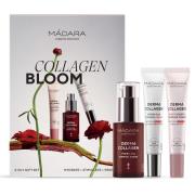 Mádara Collagen Bloom Set