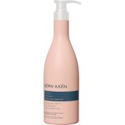 Björn Axen Anti-Frizz Conditioner 750 ml