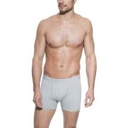 Bread and Boxers Boxer Brief 5P Grau Ökologische Baumwolle Small Herre...