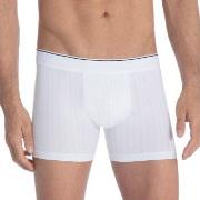 Calida Pure and Style Boxer Brief 26986 Weiß Baumwolle Small Herren