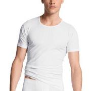 Calida Pure and Style T-shirt Weiß Baumwolle Small Herren