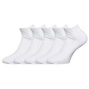 Claudio 5P Sneaker Socks Weiß Gr 40/47 Herren