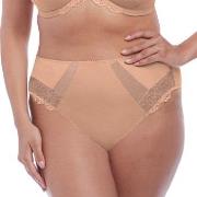 Elomi Meredith High Leg Brief Beige Medium Damen