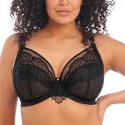 Elomi BH Priya Plunge Bra Schwarz F 80 Damen