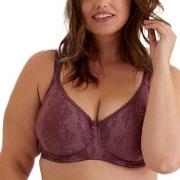 Swegmark BH Adamo Padded Soft Wired Bra Pflaume B 70 Damen