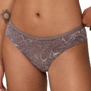 Triumph Amourette Charm Conscious Brazillian Dunkelgrau 42 Damen