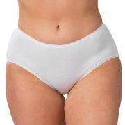 Trofe Cotton Midi Weiß Baumwolle Small Damen