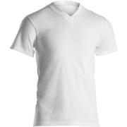 Dovre Single Jersey  V-neck T-Shirt Weiß Baumwolle Small Herren