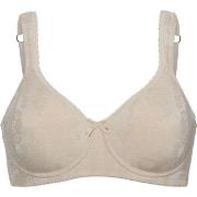 Swegmark BH Adamo Padded Soft Wired Bra Beige B 70 Damen