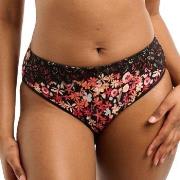 Sans Complexe Ava Fantasie Brief Schwarz/Rosa Baumwolle Small Damen