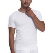 Sloggi 2P Men ABC O Neck T Shirt Weiß Baumwolle Small Herren