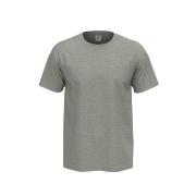 Stedman Comfort Men T-shirt Hellgrau Baumwolle Small Herren