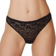 Marie Jo Color Studio Lace Thong Schwarz 38 Damen