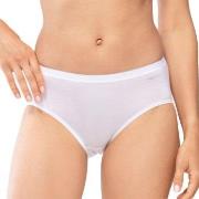 Mey Lights Hipster Brief Weiß 38 Damen