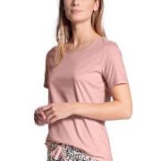 Calida Favourites Dreams T-shirt Rosa Baumwolle Small Damen