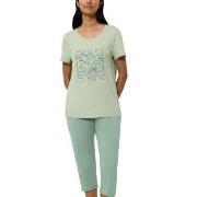 Triumph PK 02 Capri Pyjama Set Grün Baumwolle 38 Damen