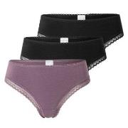 Schiesser 3P Modern Cheeky String Lila/Schwarz Baumwolle 38 Damen