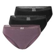 Schiesser 3P Modern Lace Rio Briefs Lila/Schwarz Baumwolle 38 Damen