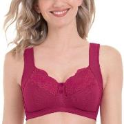 Anita BH Orely Support Bra Cherry Nylon B 75 Damen