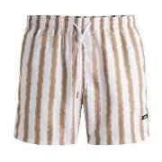 BOSS Badehosen Piranha Swim Shorts Gestreift Polyester Medium Herren