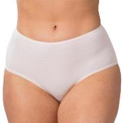 Trofe Cotton Midi Rosa Baumwolle Small Damen