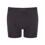 Sloggi 2P SLG Base Short Dunkelgrau Baumwolle Small Herren