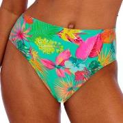 Freya Isla Margarita High Waist Brief Jadegrün Small Damen