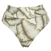 Scampi Sara Bikini Bottom Olive Small Damen