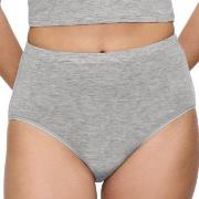 Triumph Beauty Layers Wool Maxi Brief Grau Wolle Small Damen